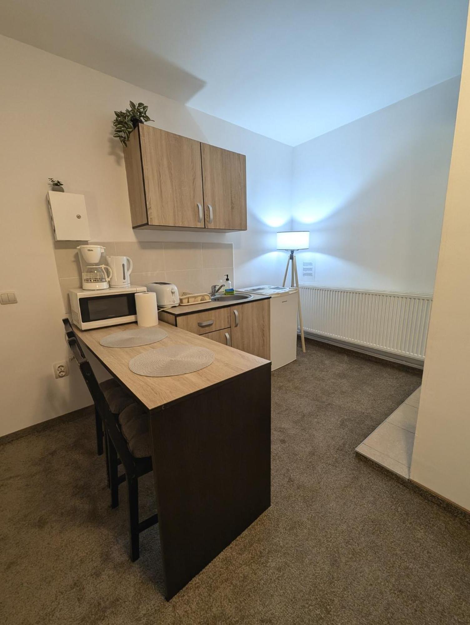 Sandor Central Studio Apartment Târgu-Mureş Buitenkant foto